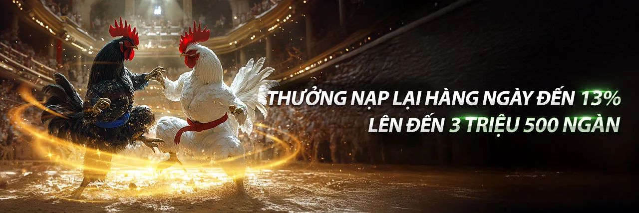 Đá Gà Thomo Ngay 13/6 – Trực Tiếp & Kịch Tính